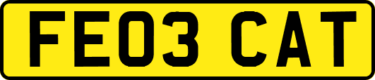 FE03CAT