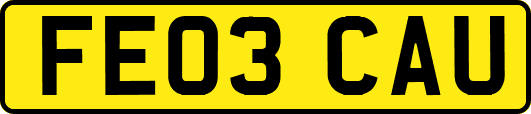 FE03CAU