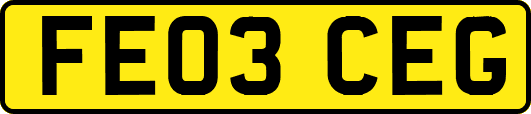 FE03CEG