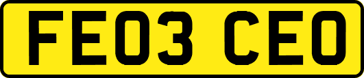 FE03CEO