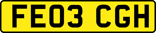 FE03CGH