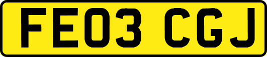 FE03CGJ
