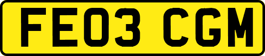 FE03CGM