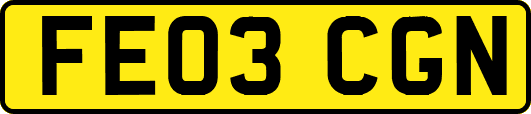 FE03CGN