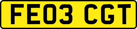FE03CGT