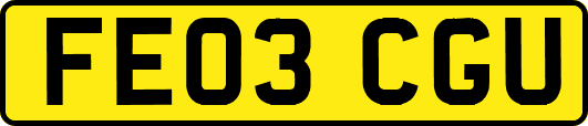 FE03CGU