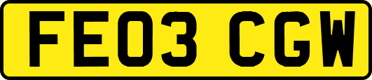 FE03CGW