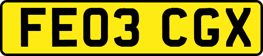 FE03CGX