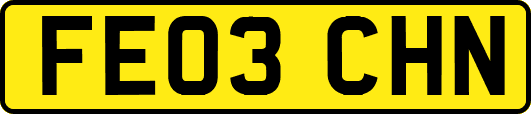 FE03CHN