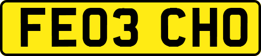 FE03CHO