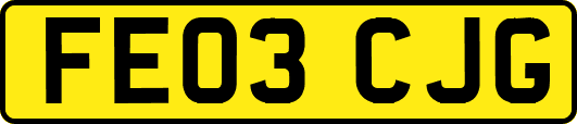 FE03CJG