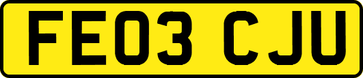 FE03CJU