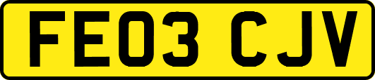 FE03CJV