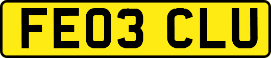 FE03CLU
