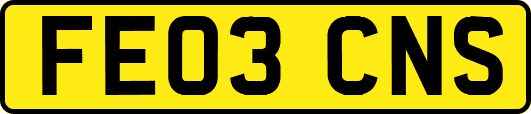 FE03CNS
