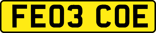FE03COE