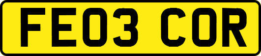 FE03COR