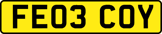 FE03COY