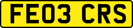 FE03CRS