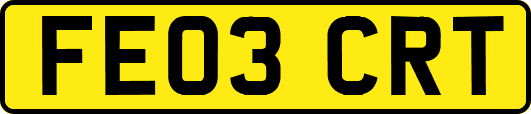 FE03CRT