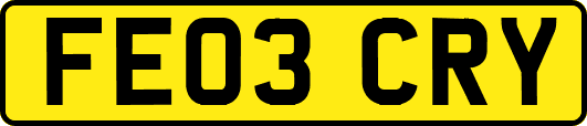 FE03CRY