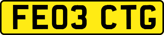 FE03CTG