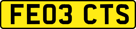 FE03CTS