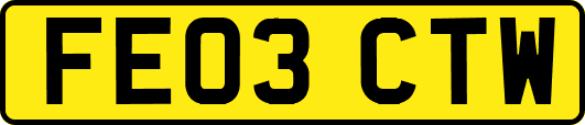 FE03CTW