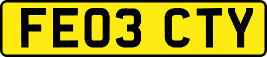 FE03CTY