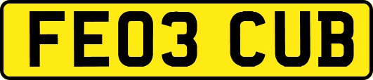 FE03CUB