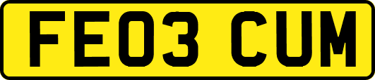 FE03CUM