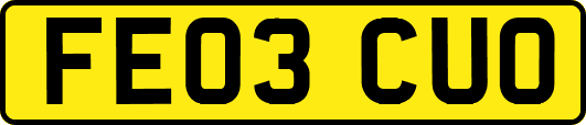 FE03CUO
