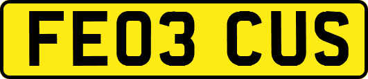 FE03CUS