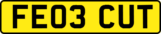 FE03CUT