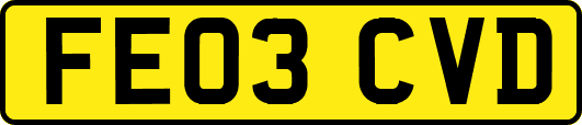 FE03CVD
