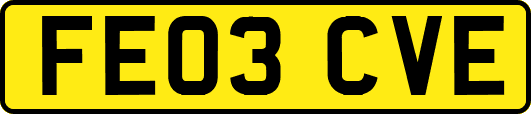 FE03CVE