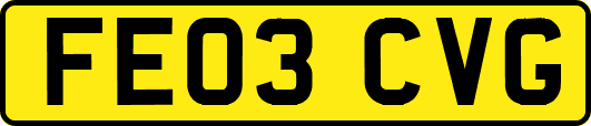 FE03CVG