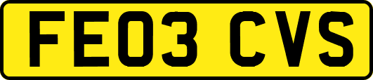 FE03CVS