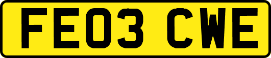 FE03CWE