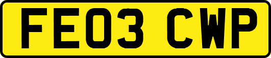 FE03CWP