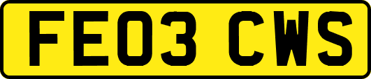 FE03CWS