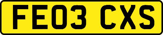 FE03CXS