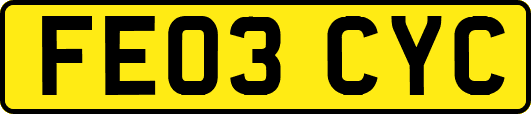 FE03CYC