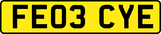 FE03CYE