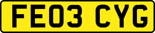 FE03CYG