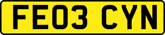 FE03CYN