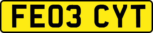 FE03CYT