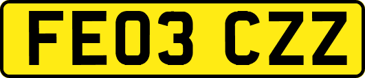 FE03CZZ