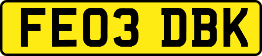 FE03DBK