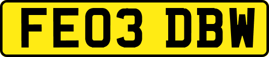 FE03DBW